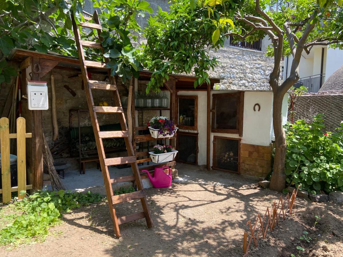 Casa Vacanze Gli Agrumi Agropoli Extérieur photo