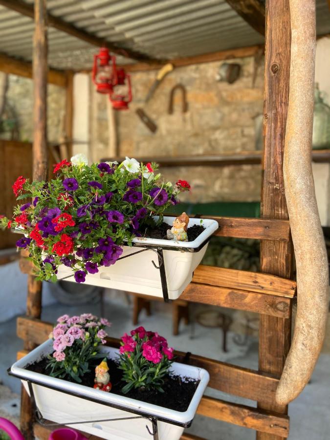 Casa Vacanze Gli Agrumi Agropoli Extérieur photo